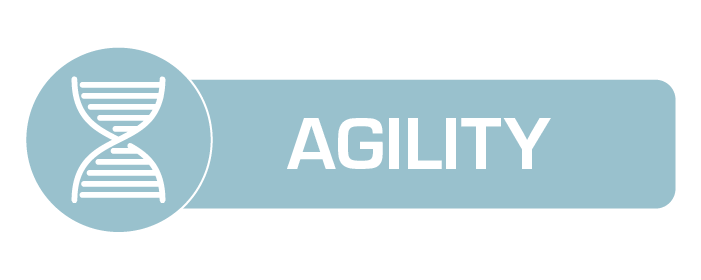 ALPhANOV_Agility