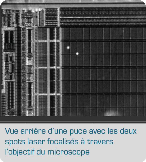 D-LMS_vue_microscopique