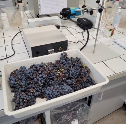 Essais laboratoire IFV