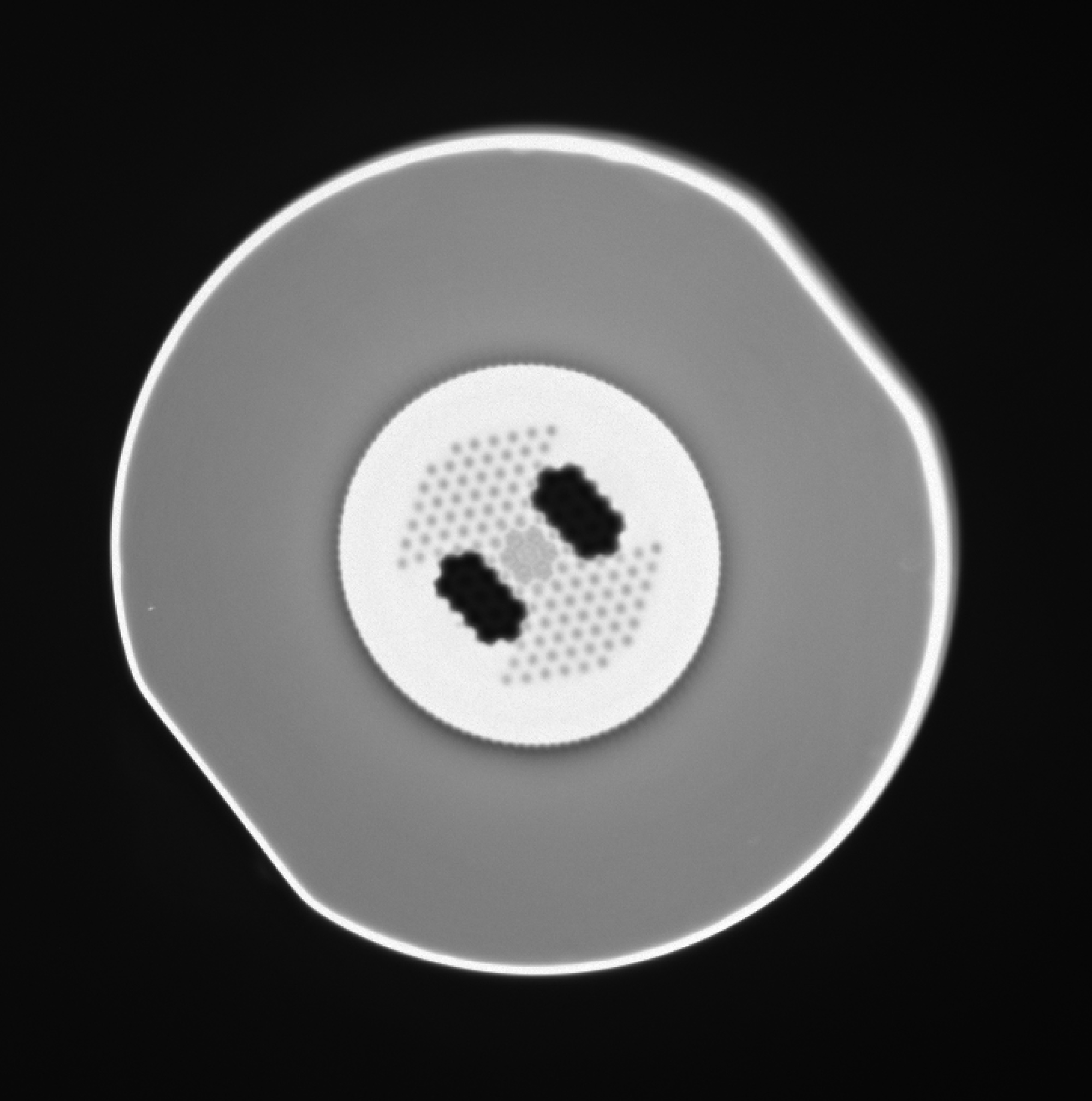 Photonic Crystal Fiber interfacing Alphanov