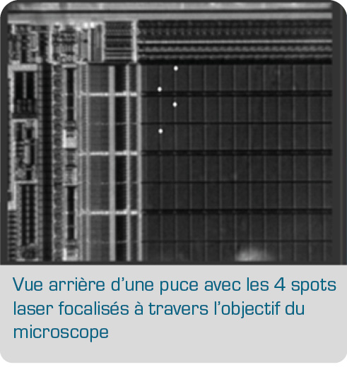 Microscopic_view_Q_LMS