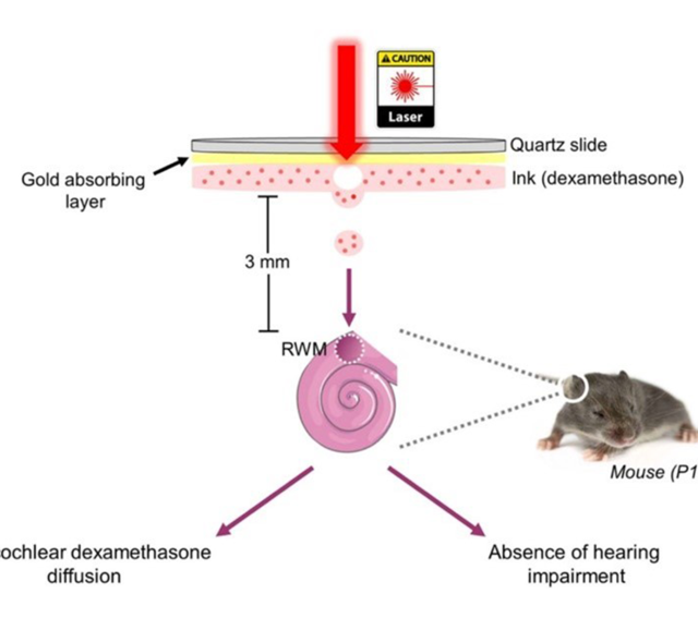 principe de bioimpression